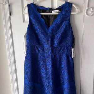 NWT Calvin Klein Blue Lace Formal Dress Size 12